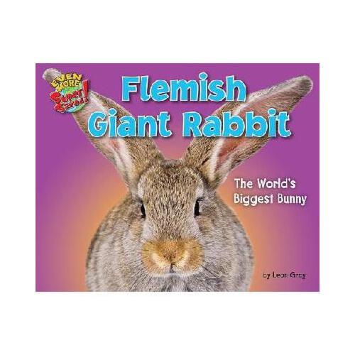 flemish giant?flemish giant rabbit!